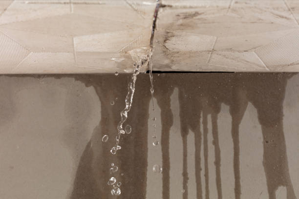 Professional Water Damage Inspection technician working in Franklin Park, FL